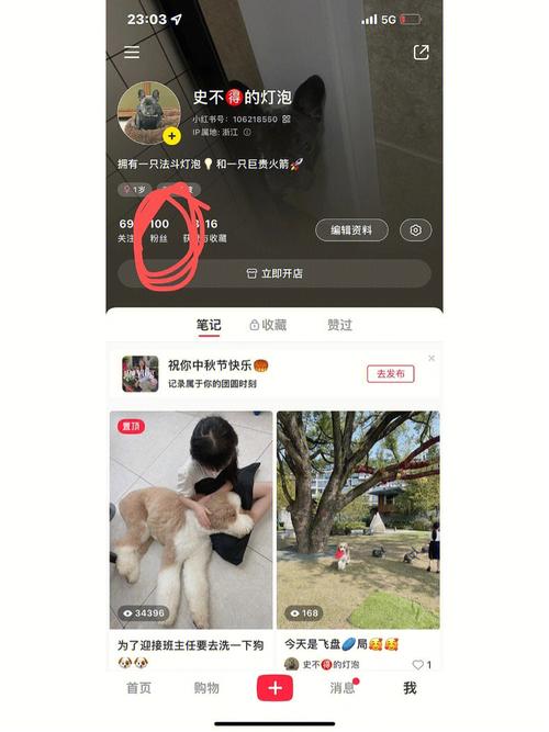 小红书粉丝自助下单，开启你的网红之路