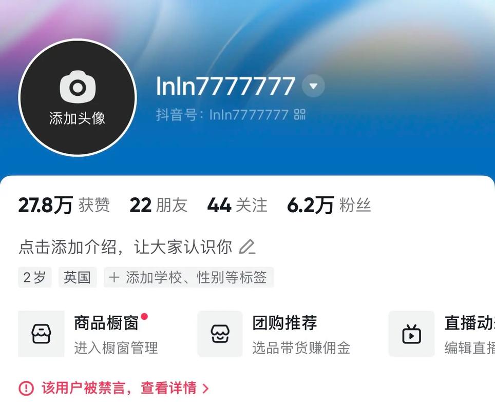 **标题：小红书粉丝网站：打造价值感满满的生活分享平台**