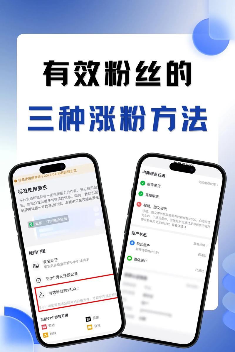 **标题：揭秘：如何快速为视频号累积1000有效粉丝？**