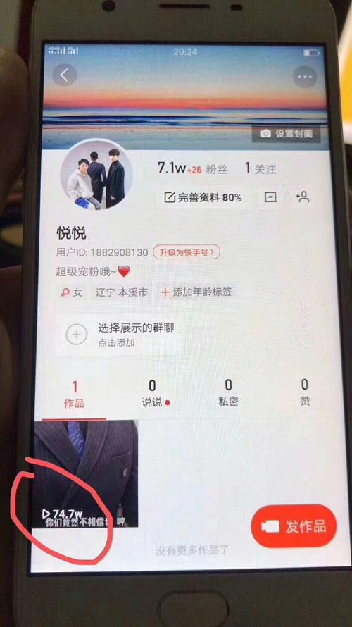 **揭秘快手带刷网：粉丝暴增的秘诀与策略**