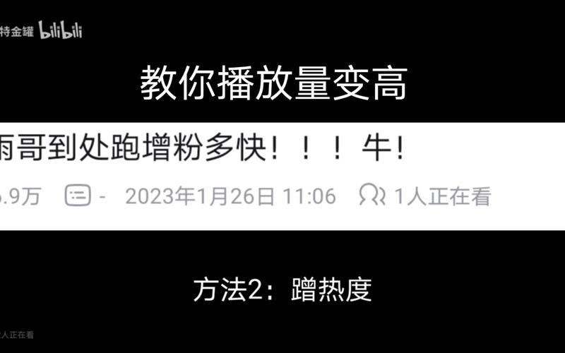 揭秘B站流量密码：轻松刷播放量，让你的视频火爆全网！