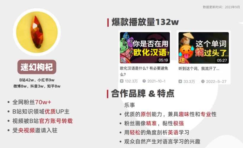 **标题：B站视频推广秘籍大公开：专业团队带你玩转播放量飙升之道！**