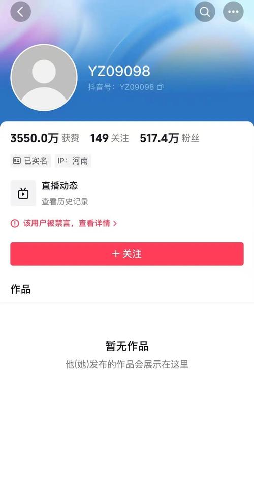 **揭秘视频号刷粉平台：真相与风险并存**