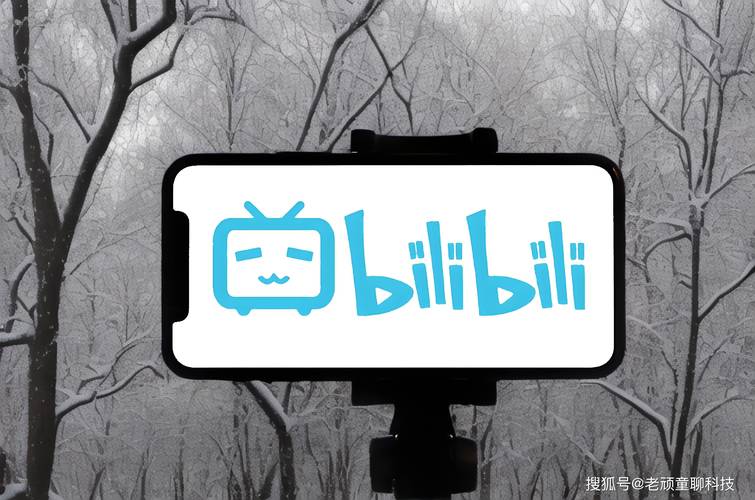 探索未知领域：走进神秘的bilibili刷赞平台世界