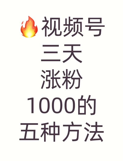 **视频号春天降临：高效刷粉平台，引领你的内容飞跃**