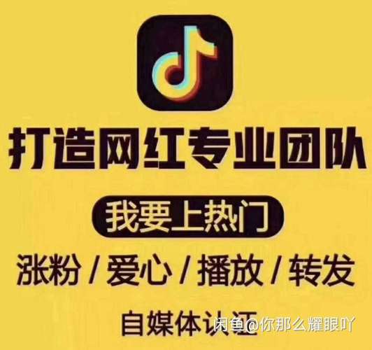 独家分享：快手一键涨粉软件助力你成为大V！