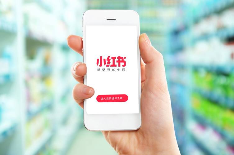 揭秘小红书数据自助下单如何享受最低价格。