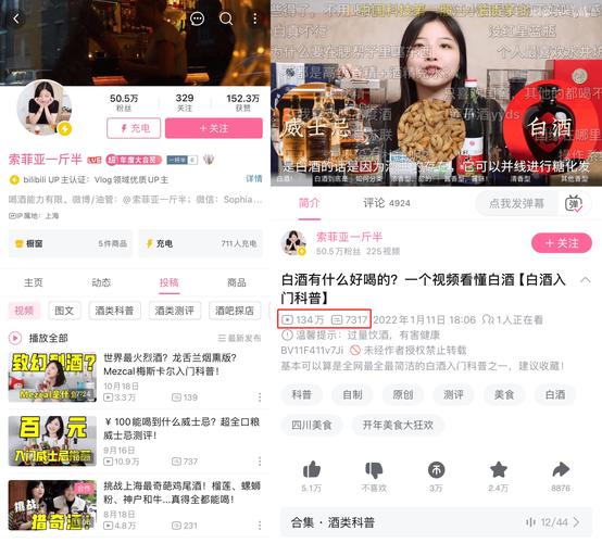 **揭秘B站播放量飙升秘诀，助你成为人气UP主！**