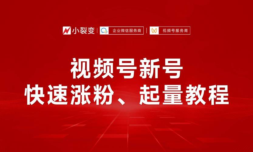 **标题：揭秘视频号粉丝疯涨背后的神秘力量！**