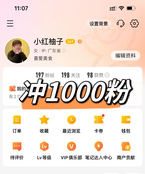 **揭秘小红书涨粉秘籍：一元涨千粉，梦想成真！**