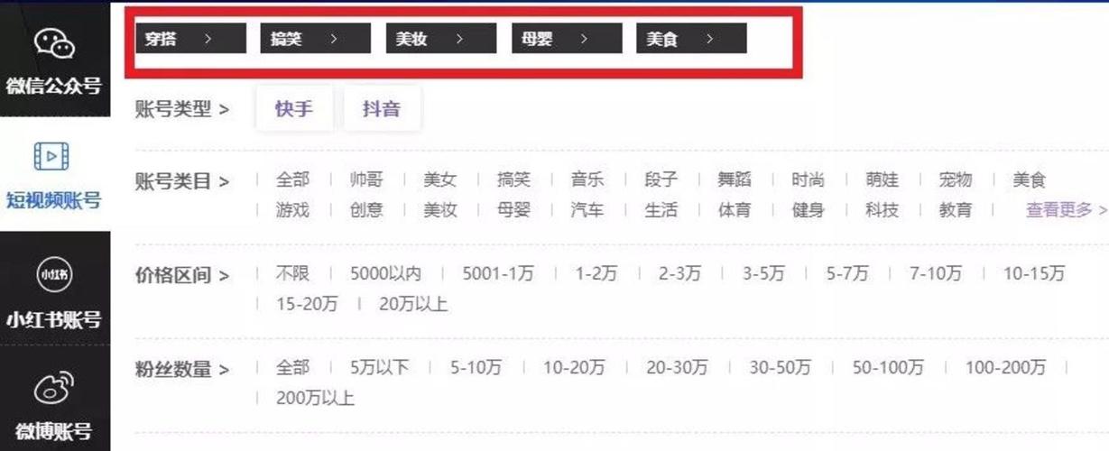 **标题：揭秘抖音粉丝购买平台，助你作品一飞冲天，火遍全网！**