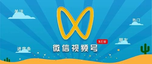 **揭秘视频号开播的神秘数字:粉丝数不再是难题!**