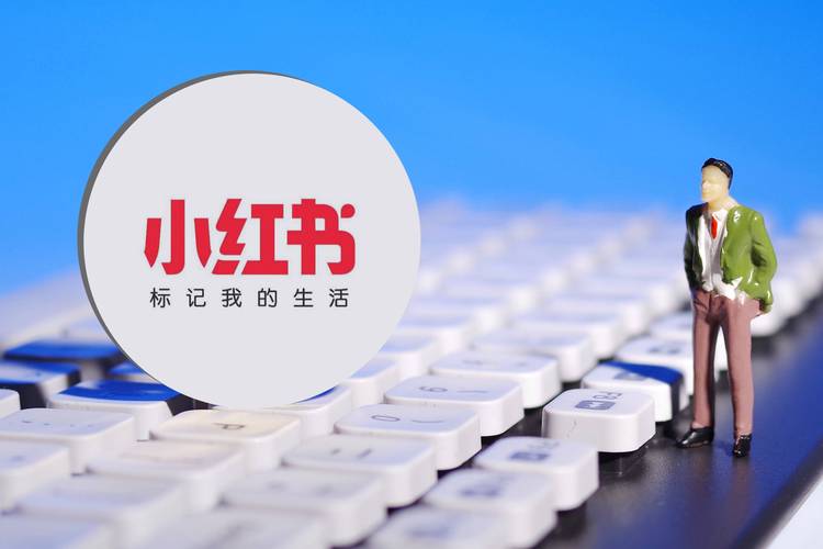 **标题:小红书点赞粉丝下单平台的高效利用策略**