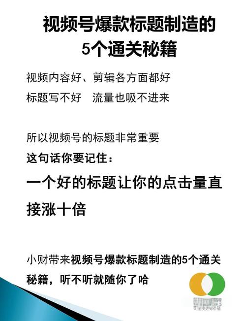 **揭秘视频号爆红背后的“秘密武器”：专业刷赞平台真相探究**