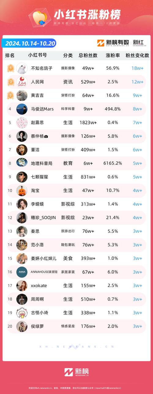 想成为微博红人?试试这些高效的刷粉丝平台吧!